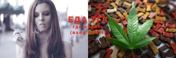 метамфетамин Ельня